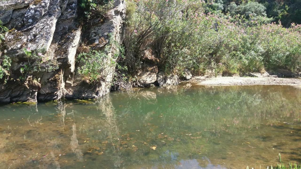 Вилла Agroturismo Flores Do Campo Vila Verde de Ficalho Экстерьер фото
